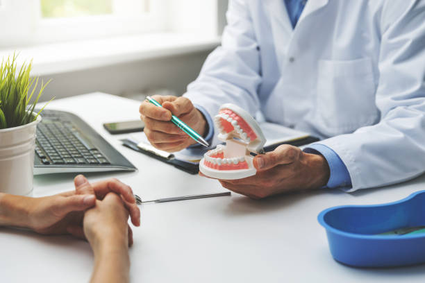 Professional Dental Services in Northchase, NC